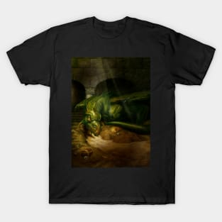 Dragon's Hoard T-Shirt